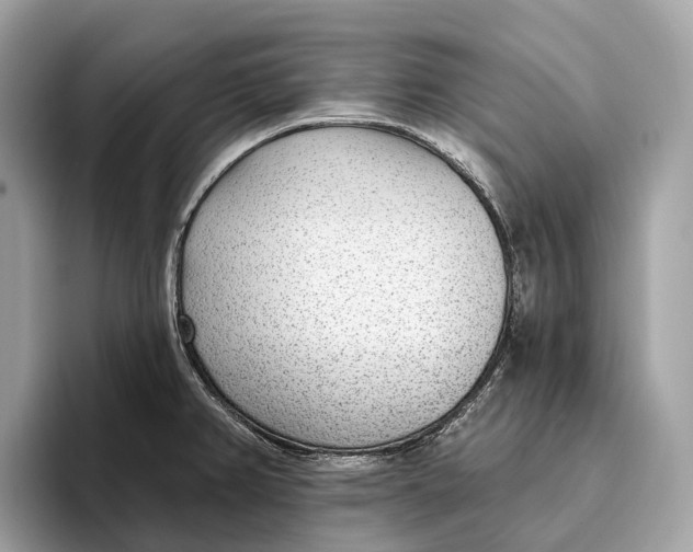 X0000096431382200802141423