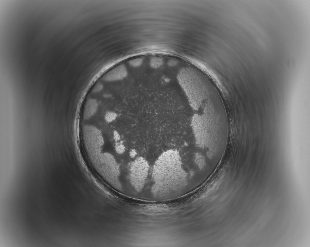 X0000096431383200802141423