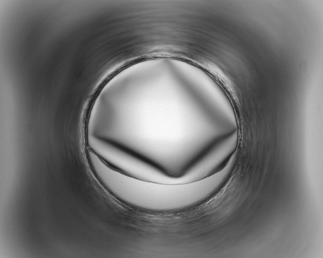 X0000096431384200802141423