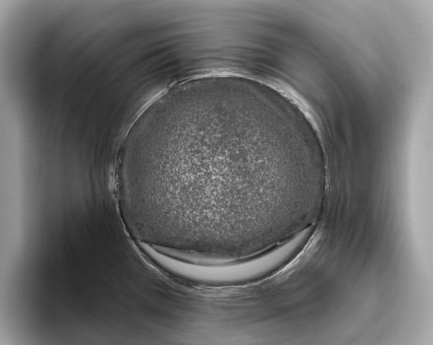 X0000096431385200802141423