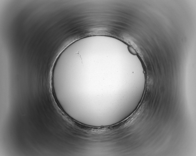 X0000096431386200802141423