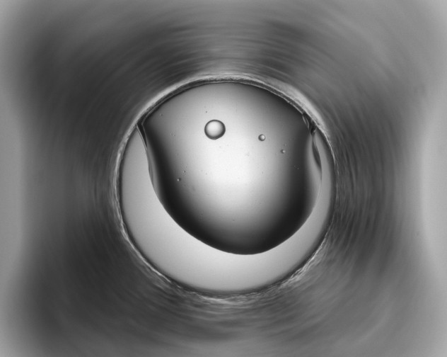 X0000096431388200802141423