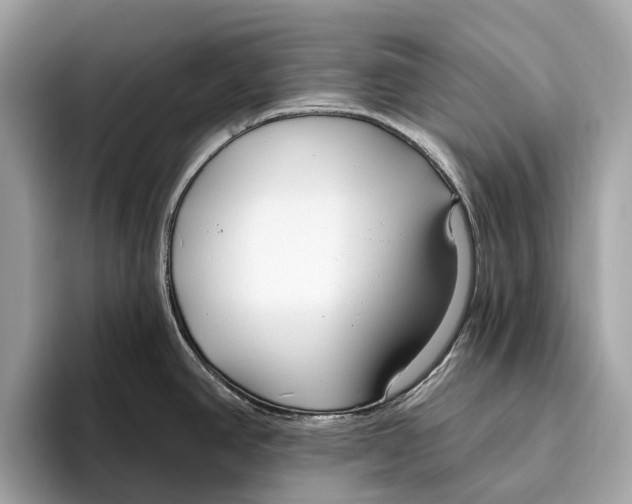 X0000096431390200802141423
