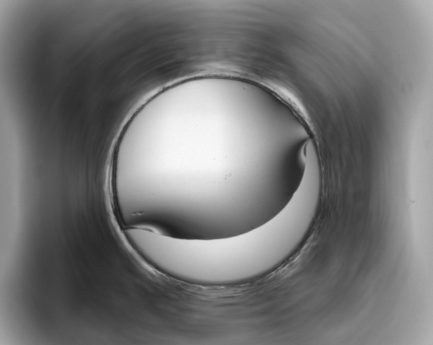 X0000096431391200802141423