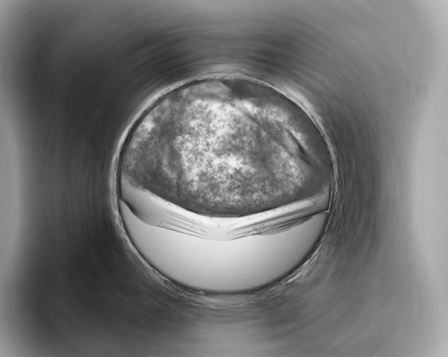 X0000096431392200802141423