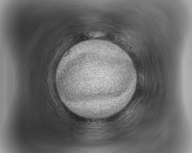 X0000096431393200802141422