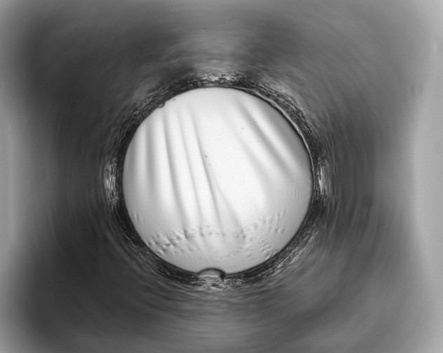 X0000096431396200802141422