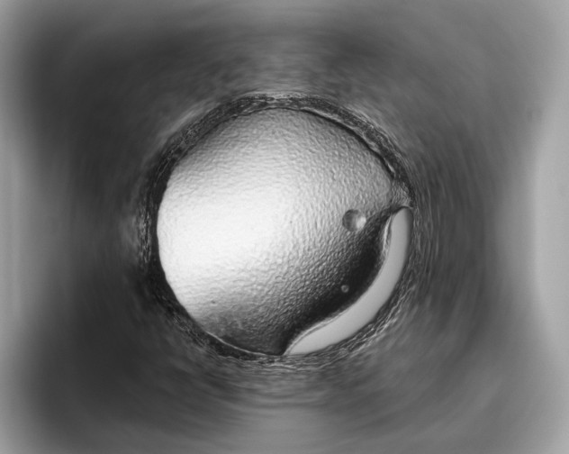 X0000096431398200802141422