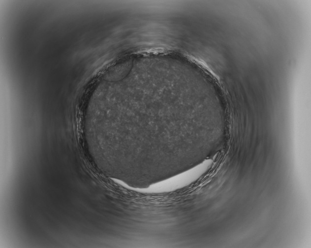 X0000096431399200802141422