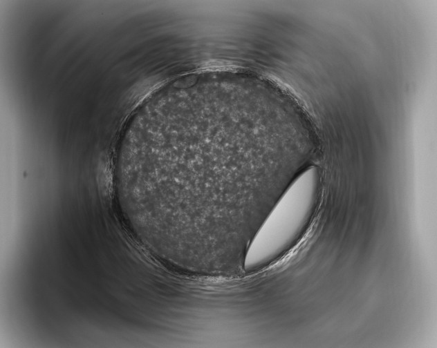 X0000096431401200802141422