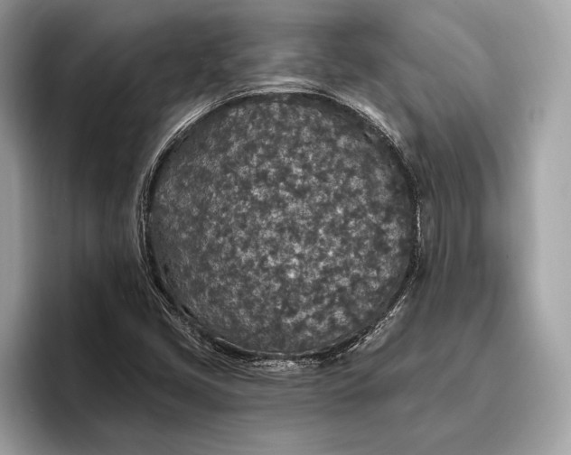 X0000096431405200802141422