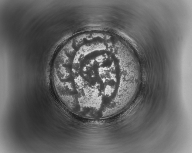 X0000096431411200802141423