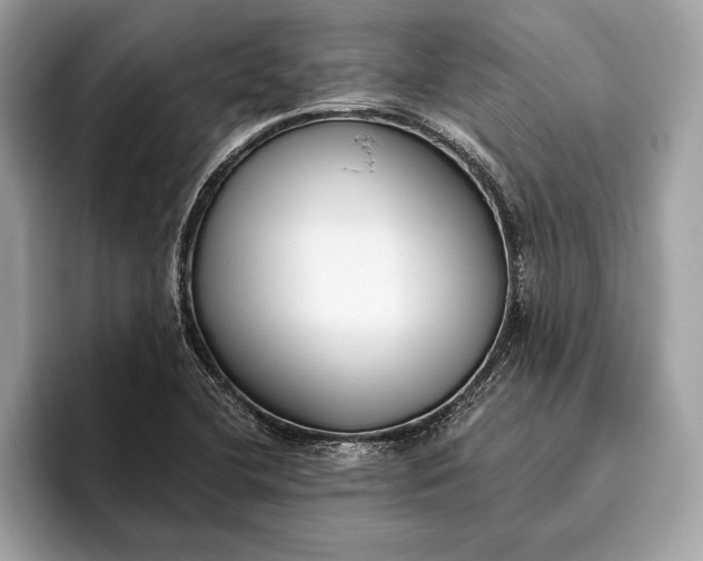 X0000096431412200802141423