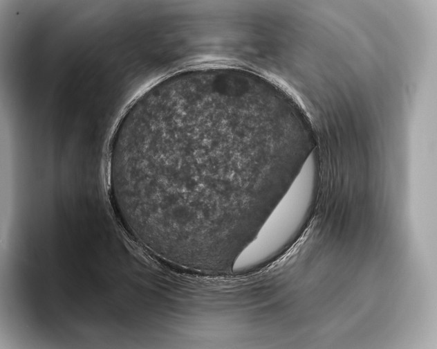 X0000096431413200802141423