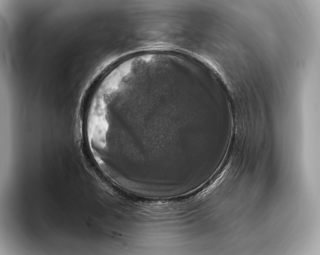 X0000096431414200802141423
