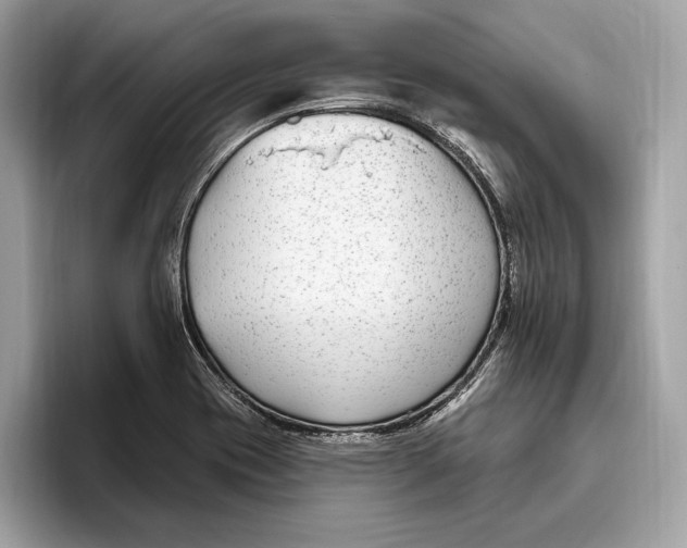 X0000096431417200802141423