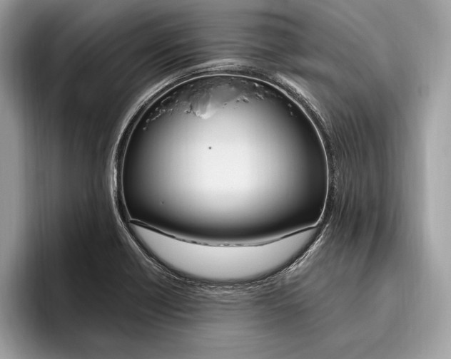 X0000096431418200802141423