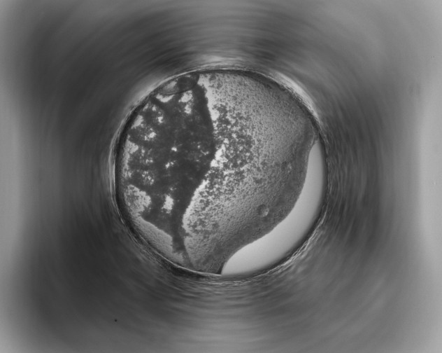 X0000096431419200802141423