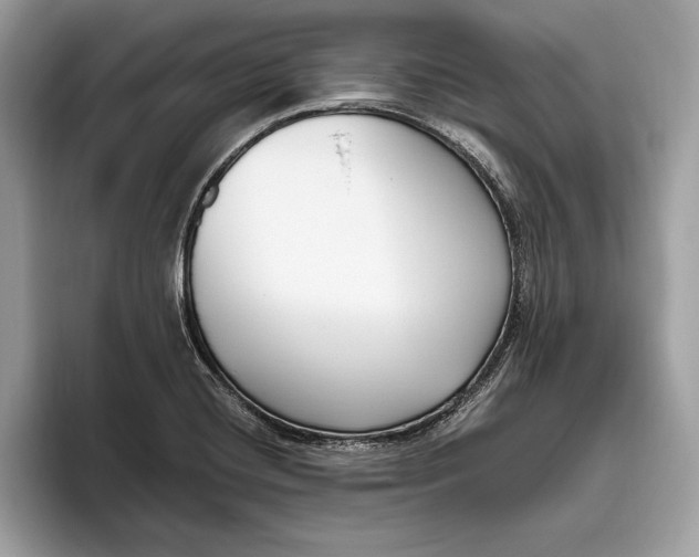 X0000096431420200802141423