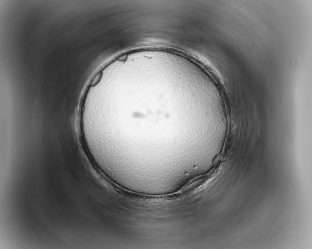 X0000096431421200802141423
