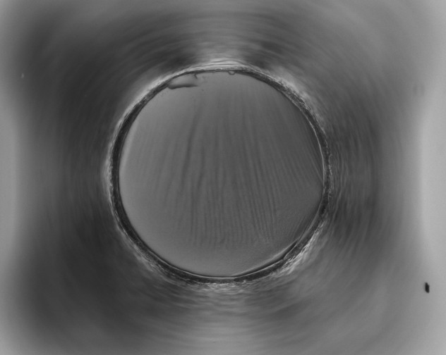 X0000096431422200802141423