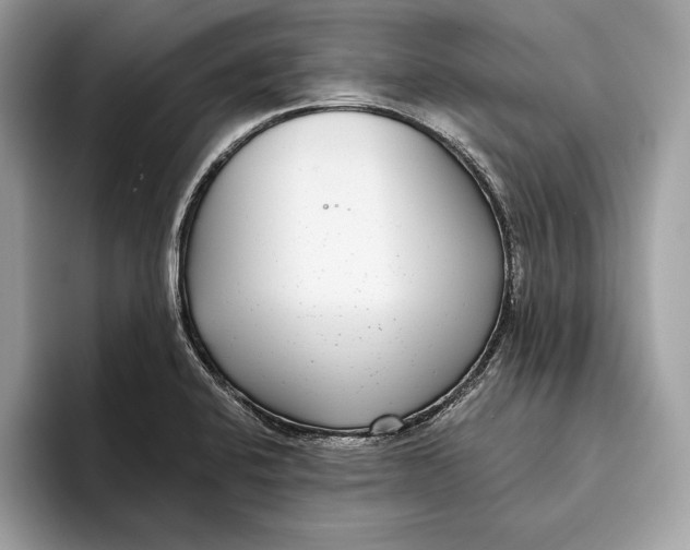 X0000096431424200802141423