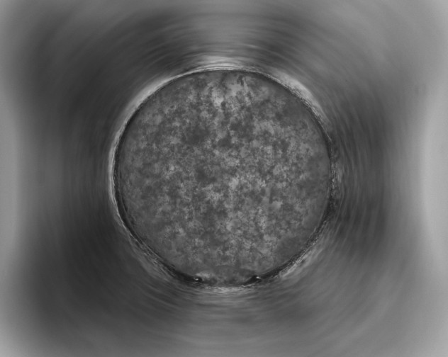 X0000096431427200802141423