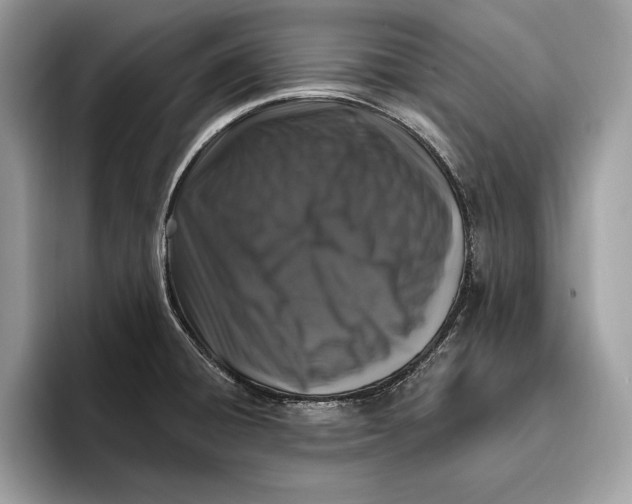 X0000096431428200802141423