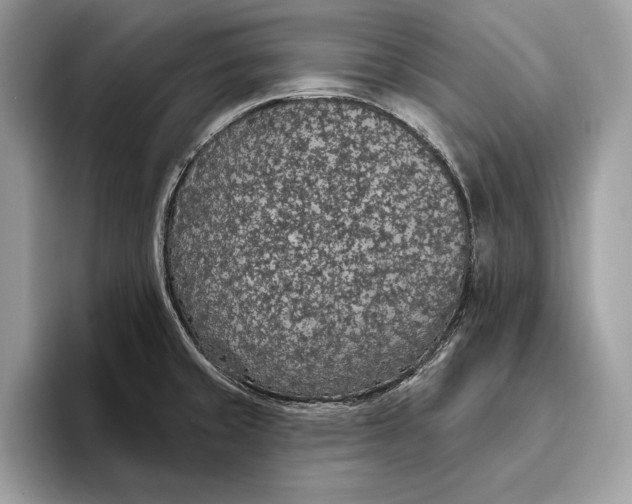 X0000096431429200802141423