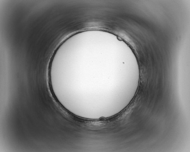 X0000096431431200802141423