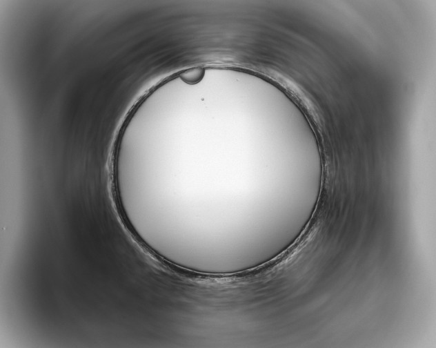 X0000096431432200802141423