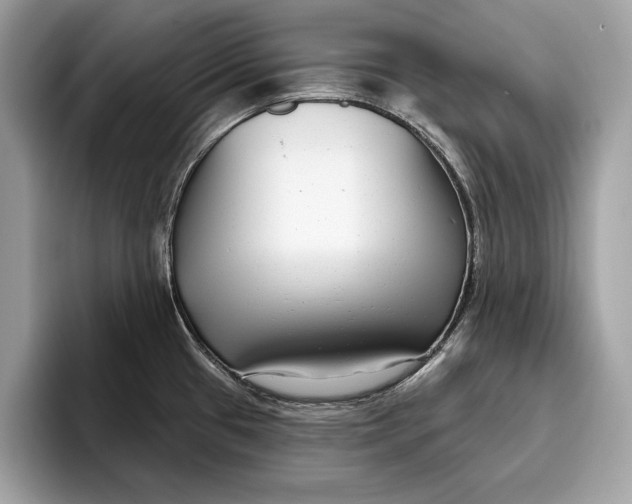 X0000096431433200802141423