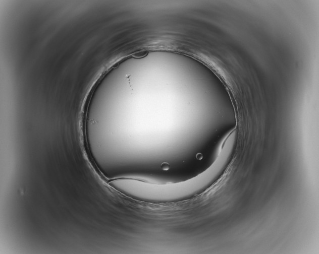 X0000096431434200802141423