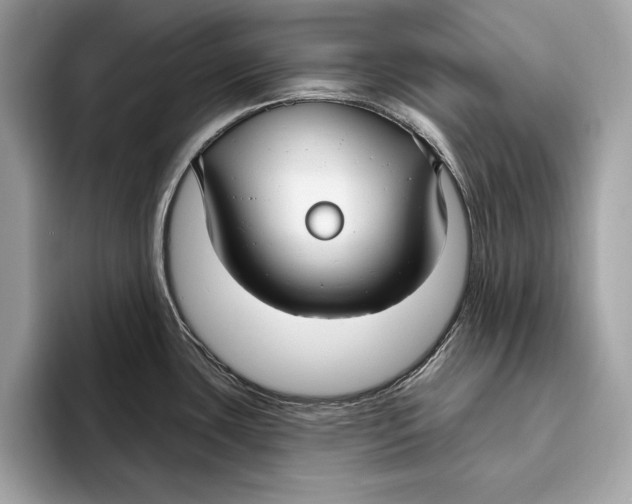 X0000096431435200802141423