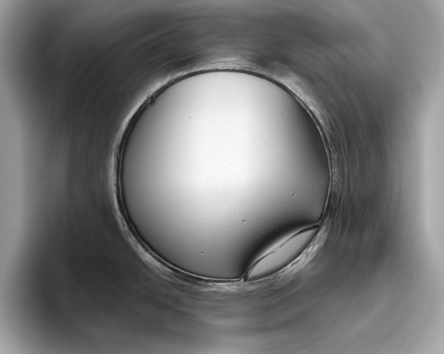 X0000096431438200802141423