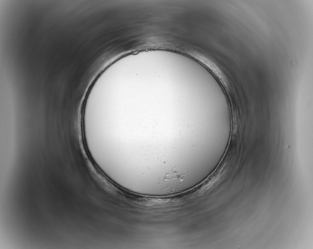 X0000096431439200802141423