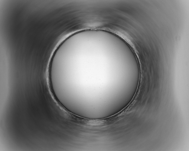 X0000096431440200802141423