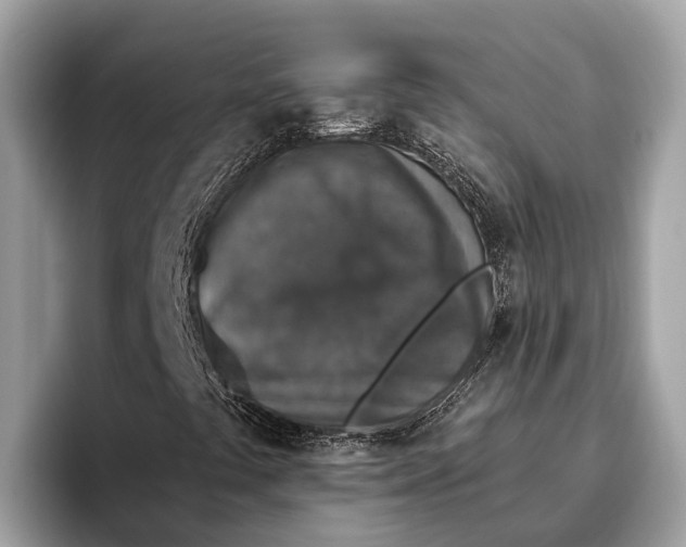 X0000096431441200802141422