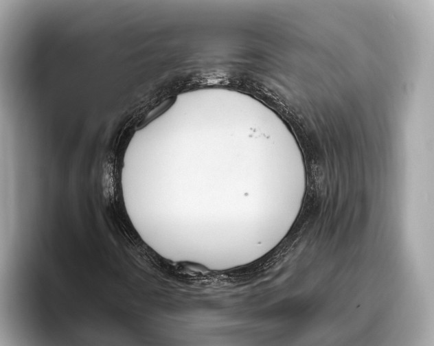 X0000096431442200802141422