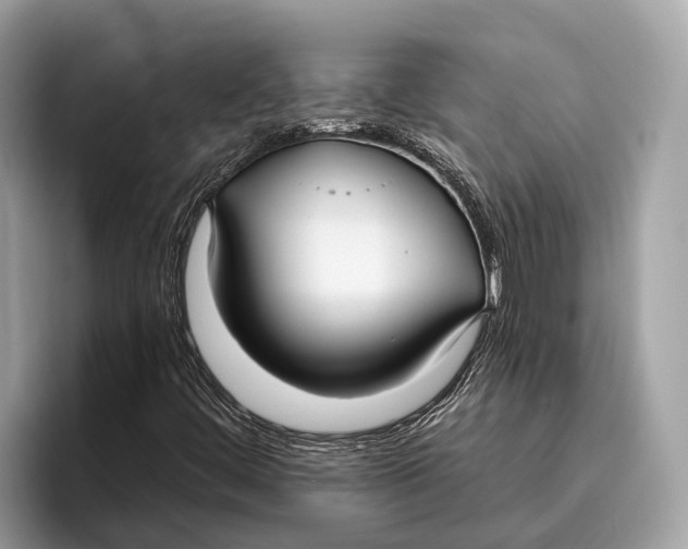 X0000096431444200802141422