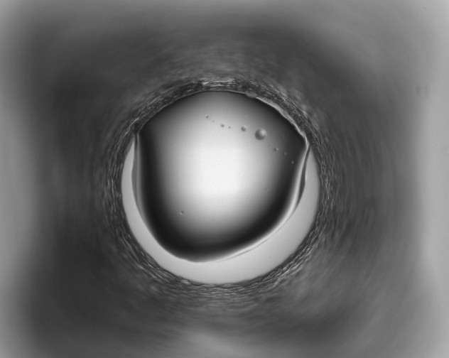 X0000096431445200802141422