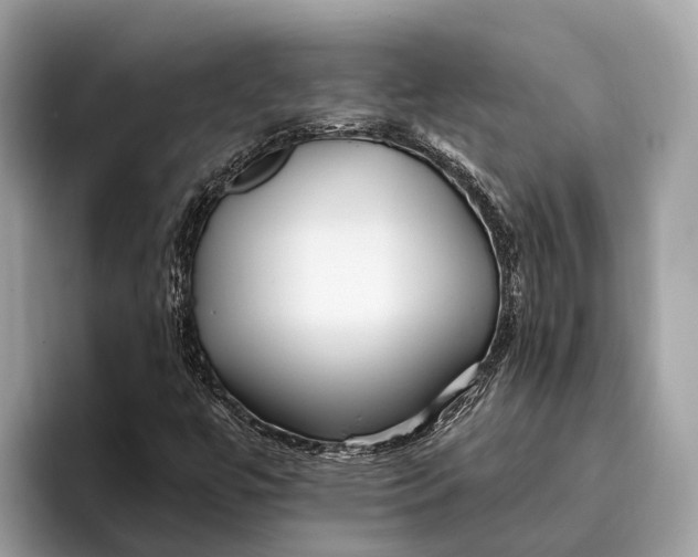 X0000096431447200802141422