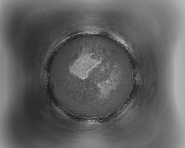 X0000096431448200802141422