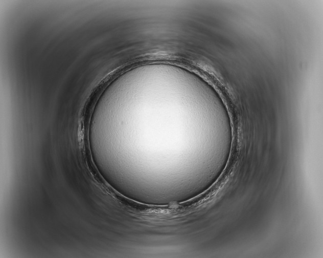 X0000096431450200802141422
