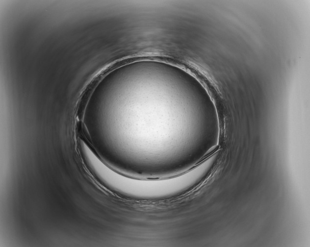 X0000096431452200802141422