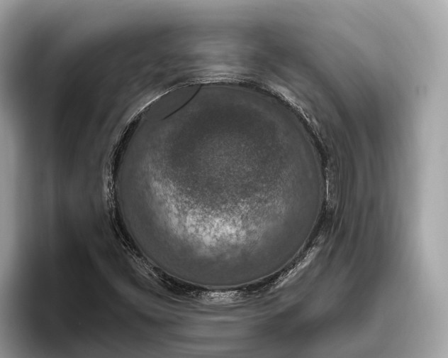 X0000096431453200802141422