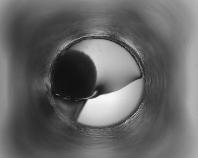 X0000096431455200802141422