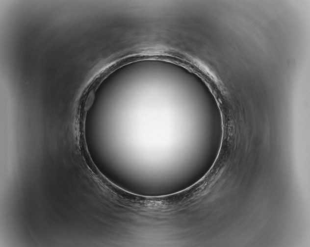 X0000096431456200802141422