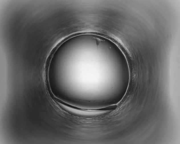 X0000096431460200802141422