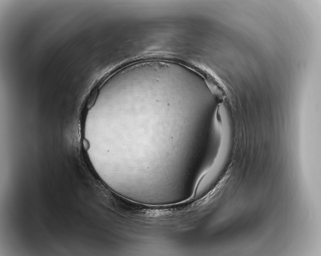 X0000096431461200802141422